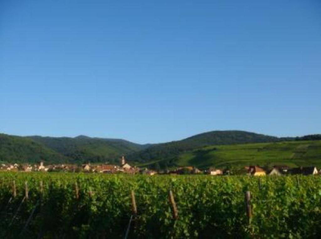 Апартаменты Vue Sur Vignes Рикевир Экстерьер фото